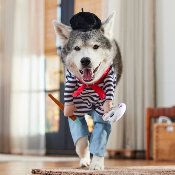 Frisco Front Walking French Artist Dog & Cat Costume, X-Large - Picture 8 of 10